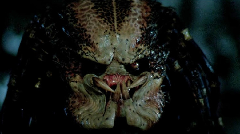Predator's snarling face
