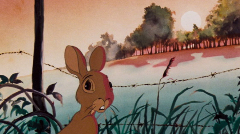 Fiver standing near barbed wire in Watership Down (1978)