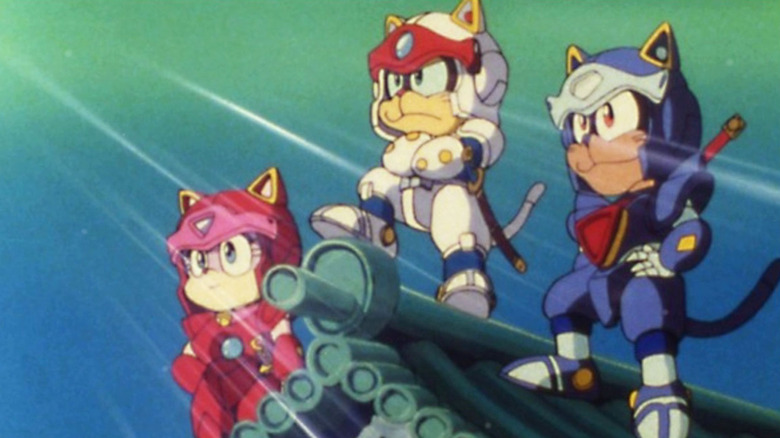 Pizza cats look at horizon