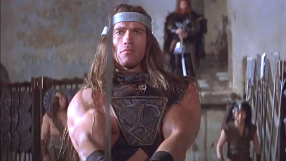 Arnold Schwarzenegger as Conan in Conan the Barbarian