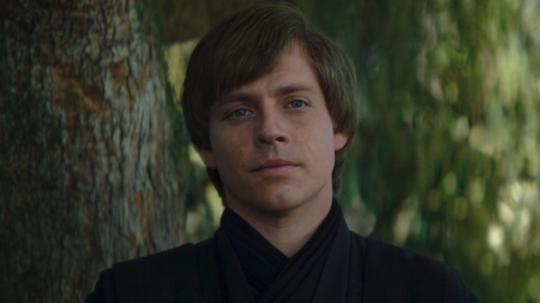 Luke Skywalker beside tree