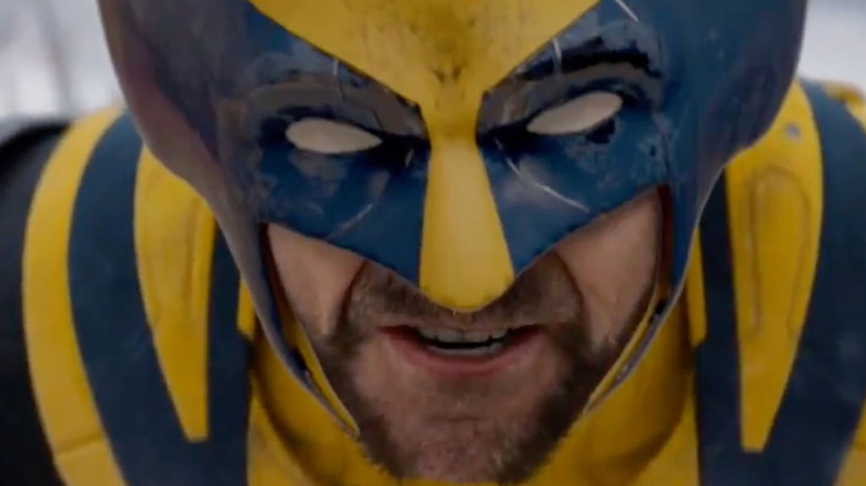Wolverine in mask