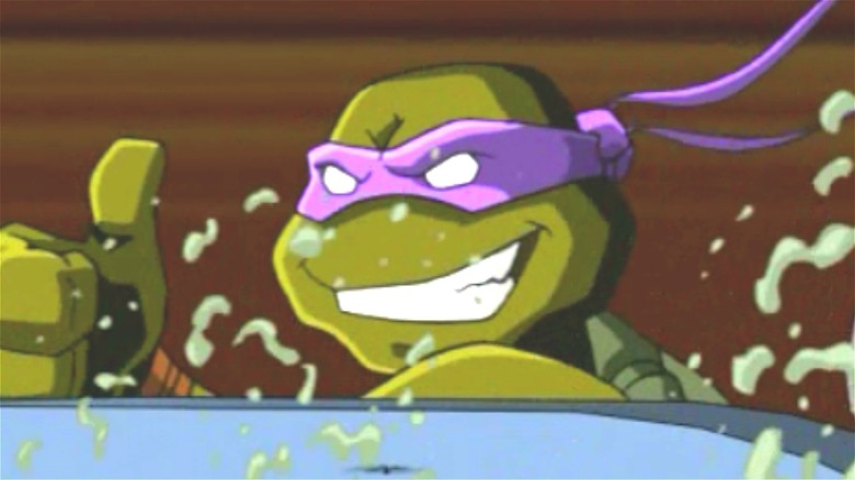 Donatello from 2003 Teenage Mutant Ninja Turtles cartoon