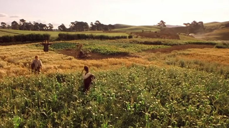 Frodo and Sam in field