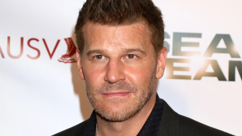 David Boreanaz