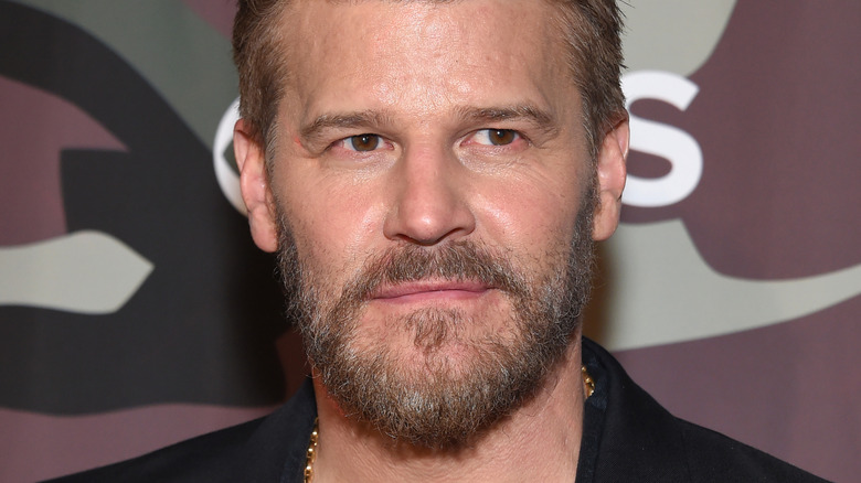 David Boreanaz