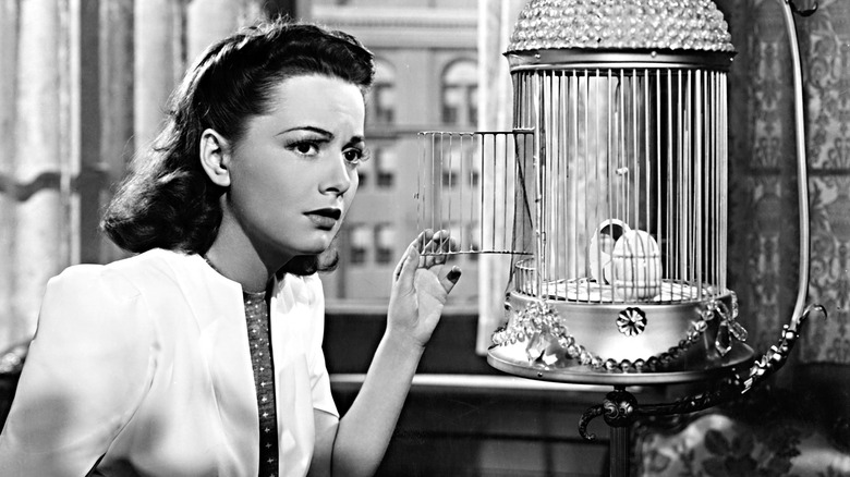 Princess Maria opens a birdcage