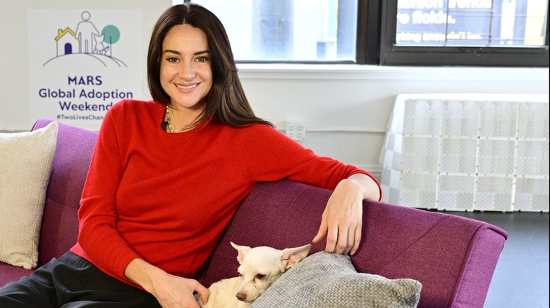 Shailene Woodley sitting on a couch and petting a dog