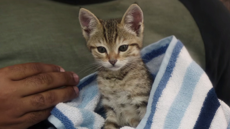 A scene from Keanu