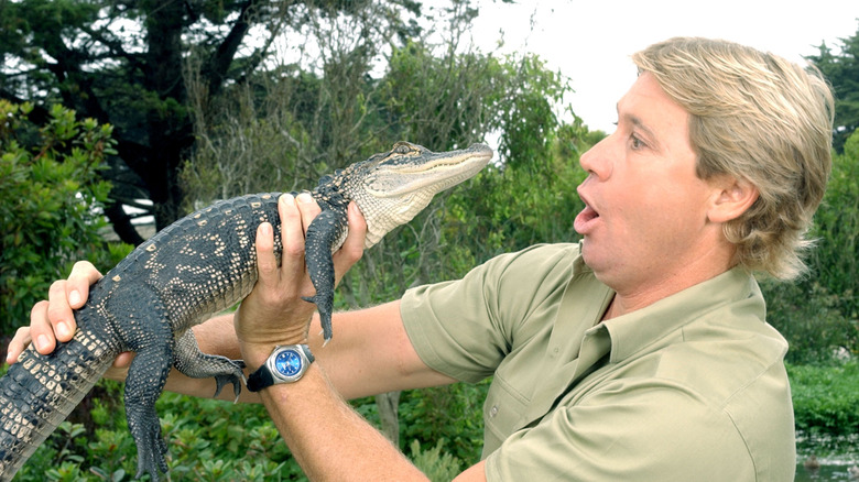 Steve Irwin