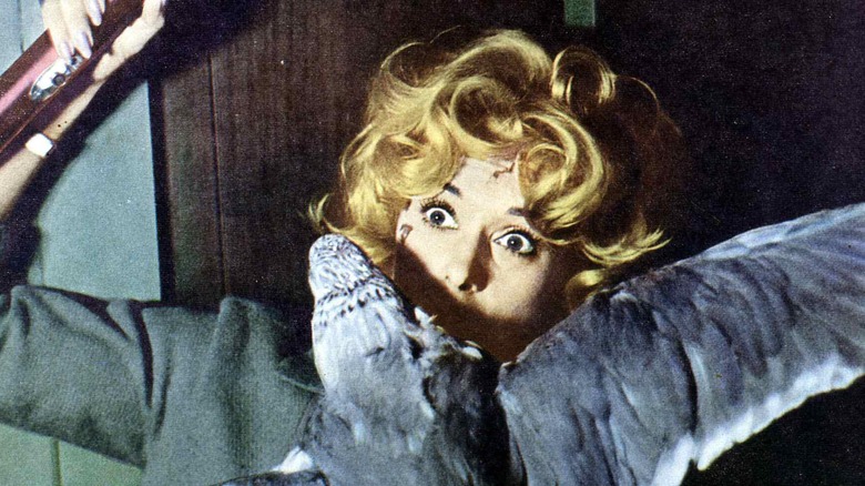 Melanie attacked by bird