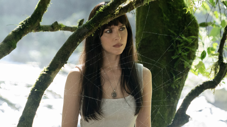 Cassandra Webb looking confused at spider web outside (2024)