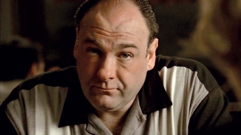 James Gandolfini as Tony Soprano
