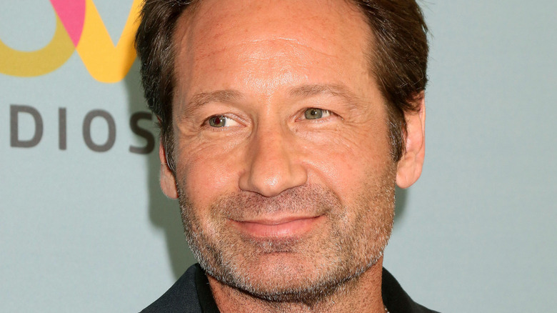David Duchovny at 1996 MTV Movie Awards