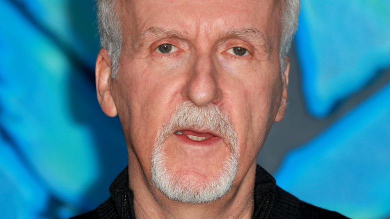 James Cameron on stage