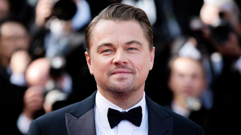 Leonardo DiCaprio smiles