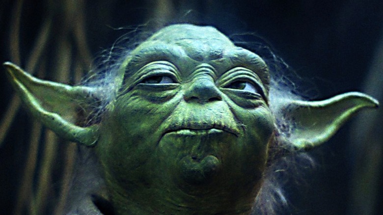 Yoda stares disapprovingly