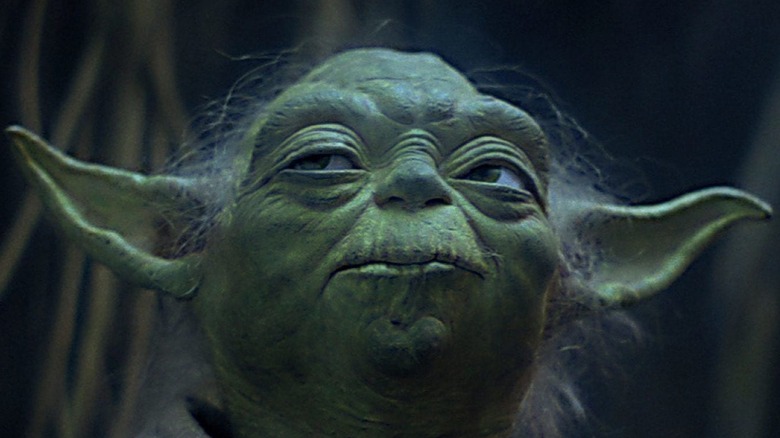 Yoda stares disapprovingly