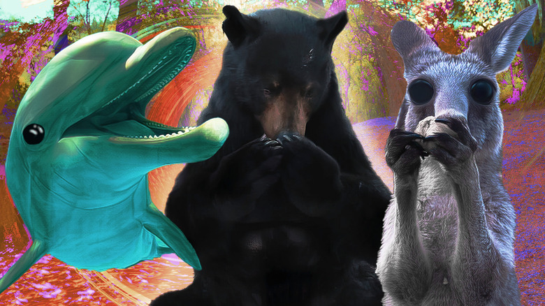 Animals but on drugs