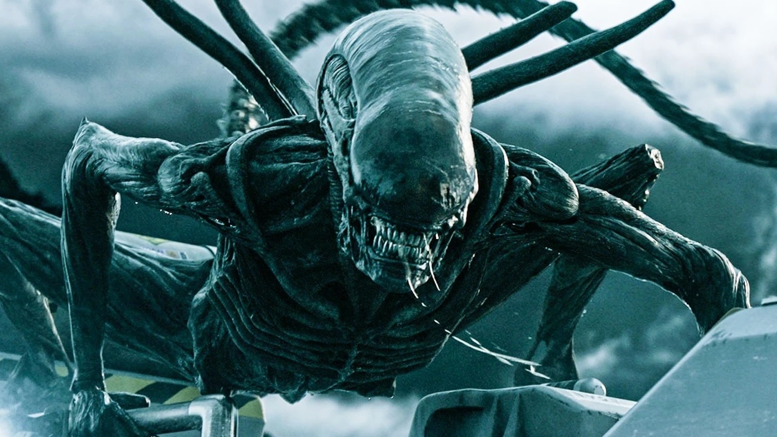 Alien Romulus Star Spoils The Movie s Surprising Place In The 