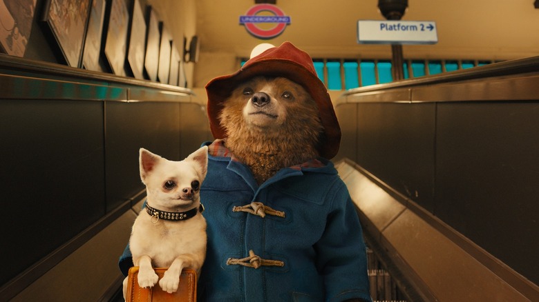 Paddington holding a small white dog going down a train escalator in Paddington