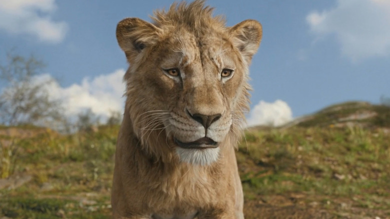 Mufasa talking to a herd of animals in Mufasa: The Lion King