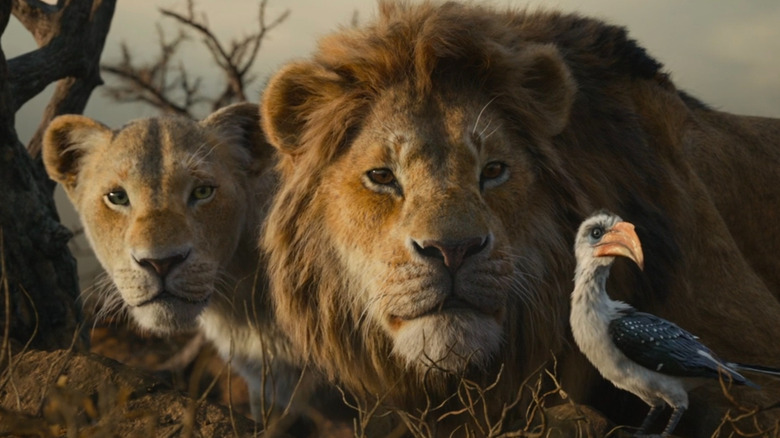 Nala, Simba and Zazu looking to the side in The Lion King