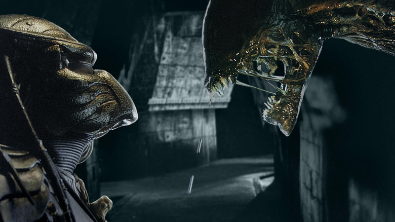 A Predator and Xenomorph staring each other down in Alien vs. Predator (2004)