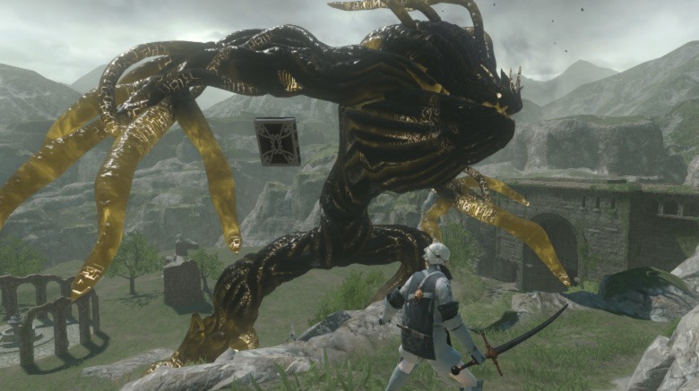 Young Nier facing monster