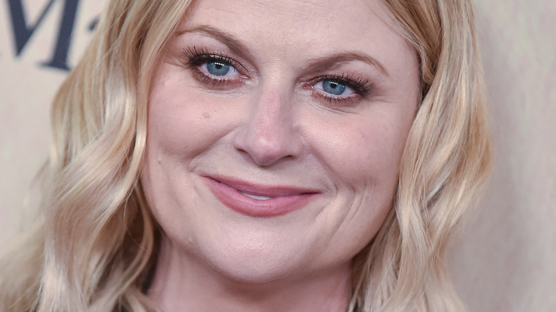 Amy Poehler smiling