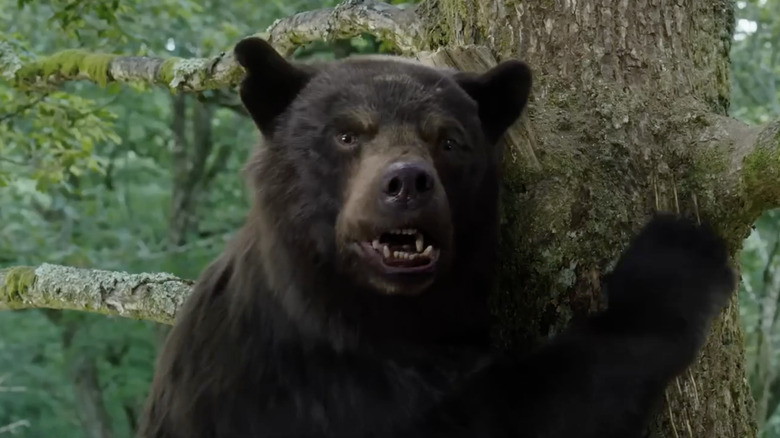 Cocaine Bear climbing a tree