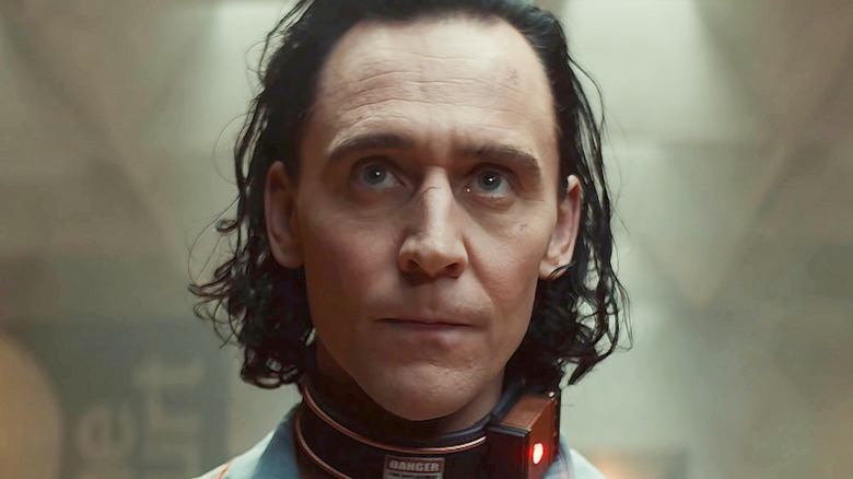 Loki looking up wearing shock collar