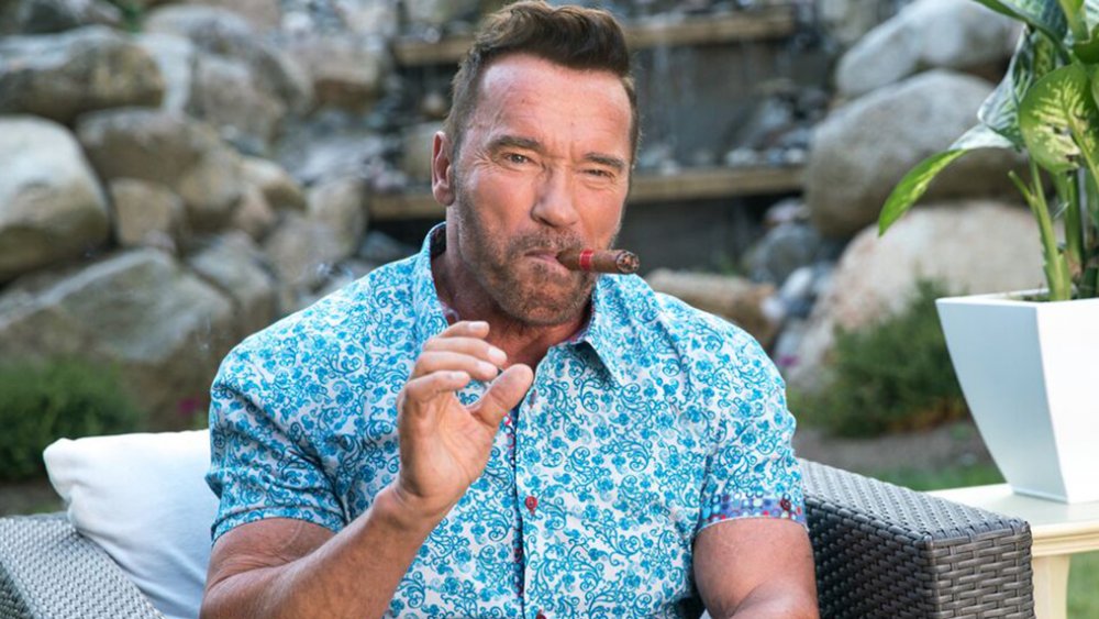 Arnold Schwarzenegger as Gunther in Killing Gunther