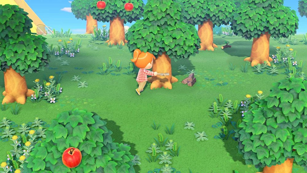 Animal Crossing: New Horizons DIY