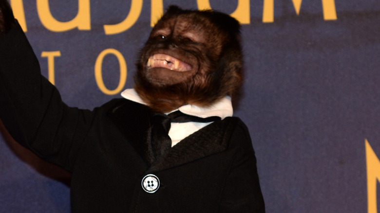 Crystal the monkey smiling