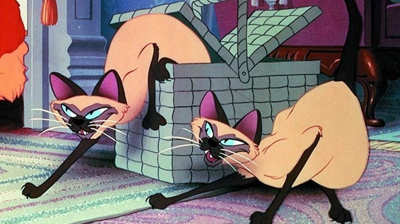 Siamese cats