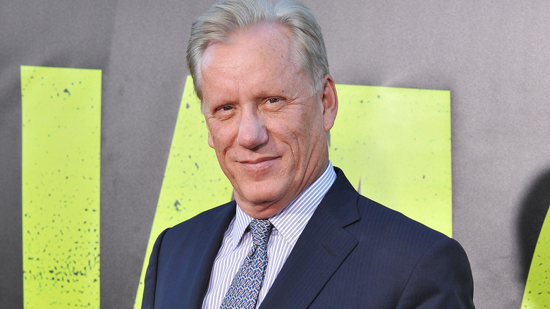 James Woods smiling slightly