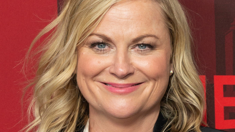 Amy Poehler smiling