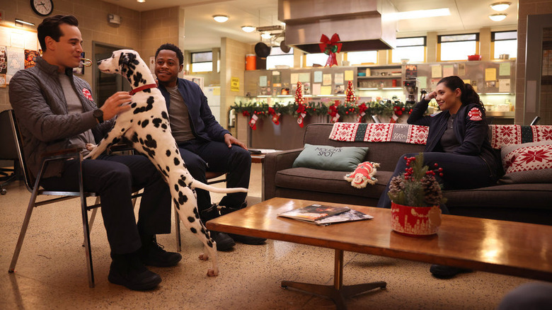 Gallo, Ritter, and Violet lounging with Dalmatian