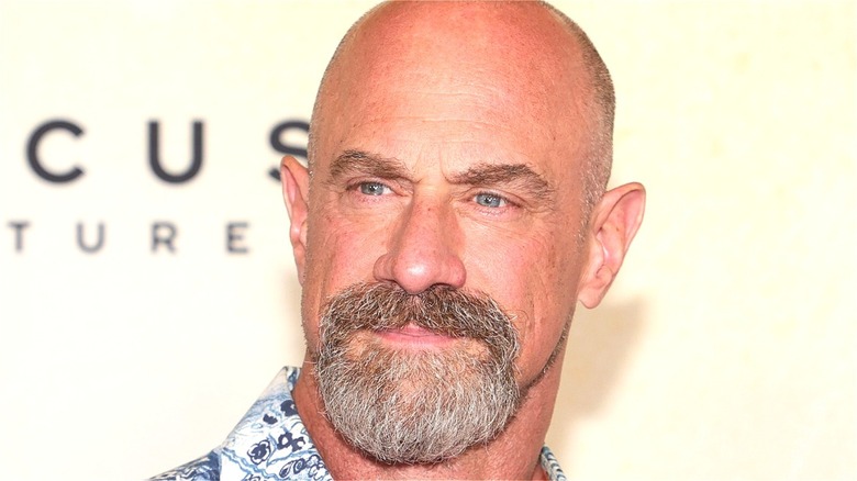 Christopher Meloni smiling with goatee 