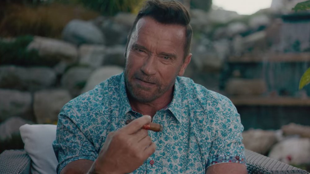 Arnold Schwarzenegger in Killing Gunther