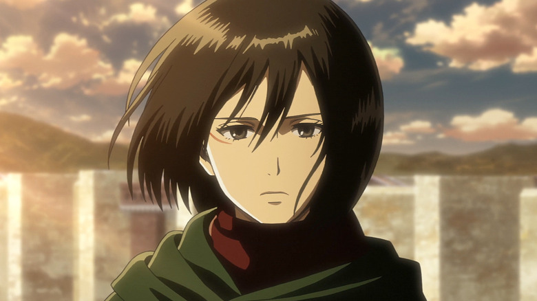 Mikasa Serious Face at Sunset