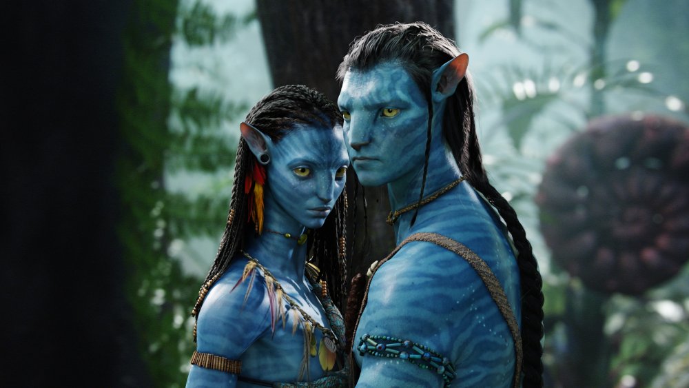 Jake Sully and Neytiri on the Planet Pandora in Avatar