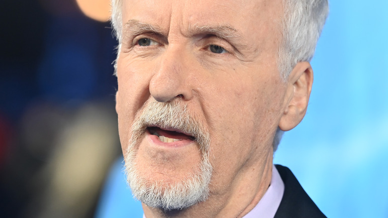 James Cameron attends event