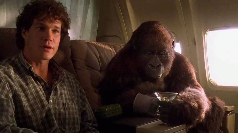 Peter Elliott and Amy sitting on a plane in "Congo" (1995)