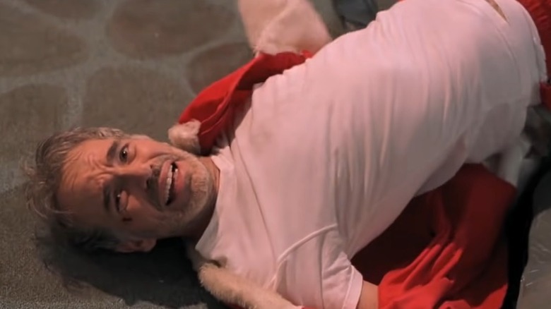 Willie lying on the floor