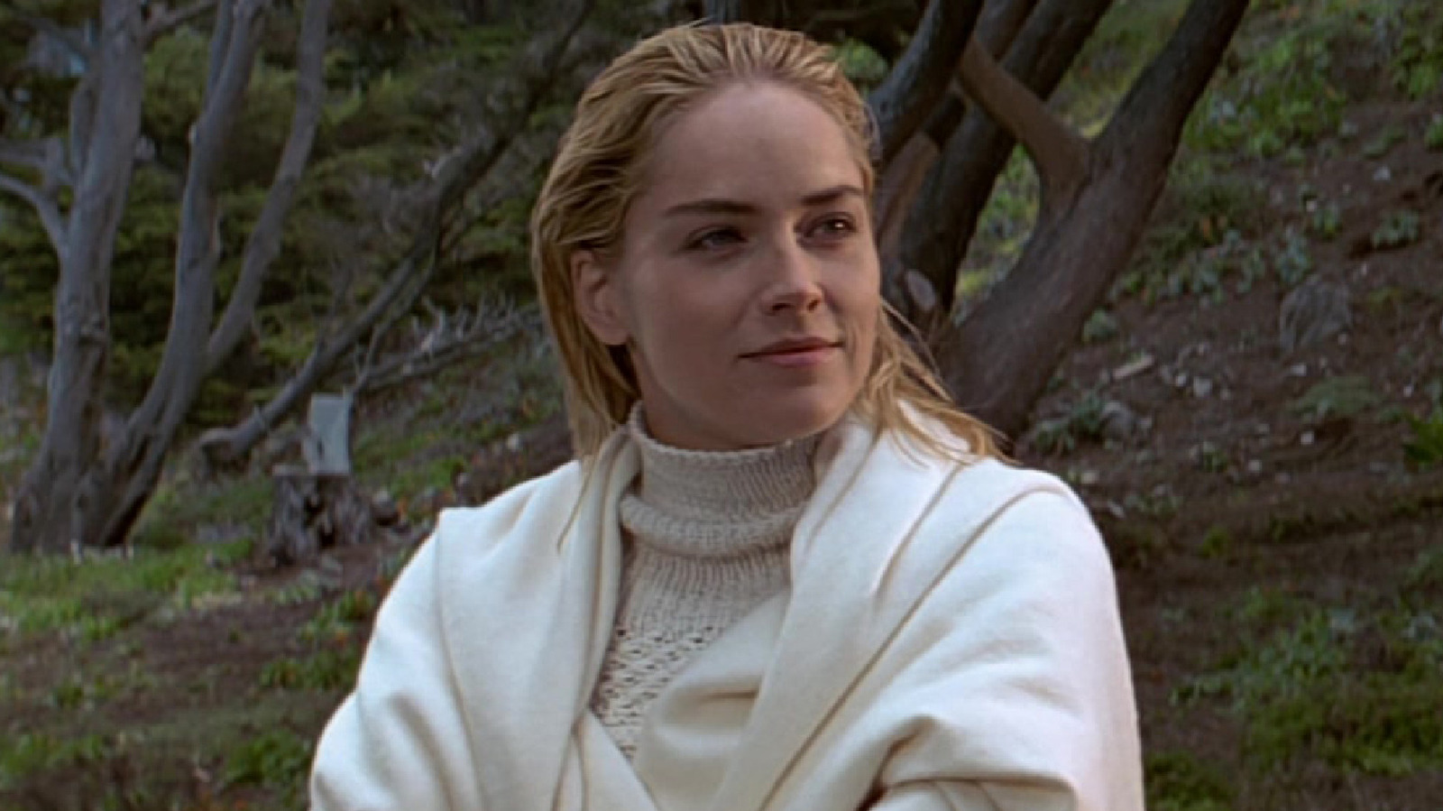 The Basic Instinct Ending Explained: Who Was The Real Killer All Along?