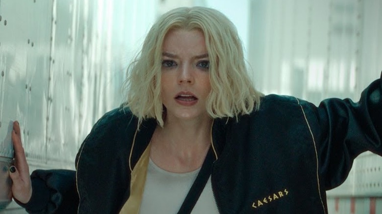 Lucky pausing for breath between two lorries wearing a Caesars jacket