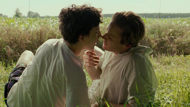 Elio and Oliver kiss in the grass in "Call Me by Your Name" (2017)