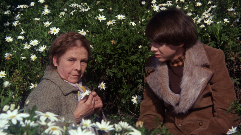 Maude and Harold lie in a field of daisies in "Harold and Maude" (1971)
